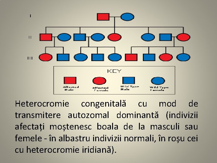 Heterocromie congenitală cu mod de transmitere autozomal dominantă (indivizii afectați moștenesc boala de la