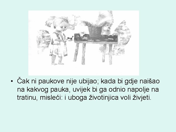  • Čak ni paukove nije ubijao; kada bi gdje naišao na kakvog pauka,