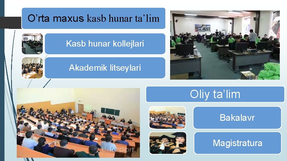 O’rta maxus kasb hunar ta’lim Kasb hunar kollejlari Akademik litseylari Oliy ta’lim Bakalavr Magistratura