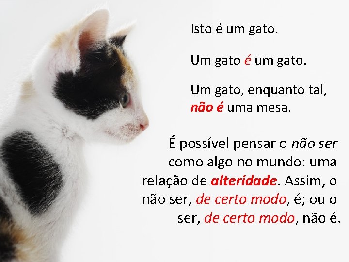 Isto é um gato. Um gato, enquanto tal, não é uma mesa. É possível