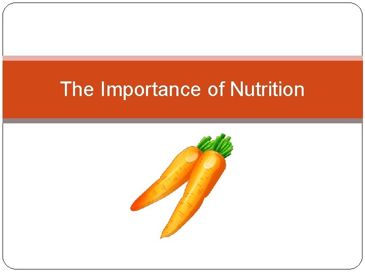 The Importance of Nutrition 