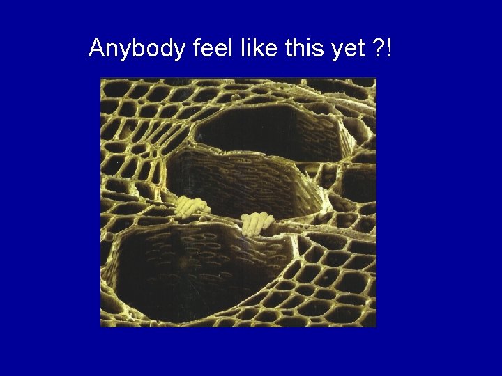 Anybody feel like this yet ? ! 