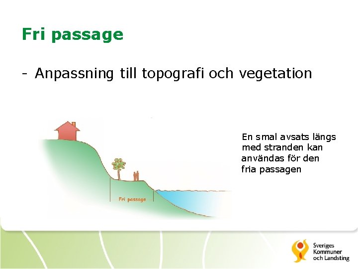 Fri passage - Anpassning till topografi och vegetation En smal avsats längs med stranden