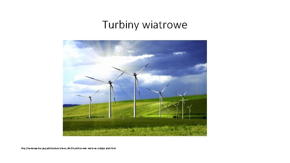 Turbiny wiatrowe http: //naukawpolsce. pap. pl/aktualnosci/news, 395374, elektrownie-wiatrowe-zabijaja-ptaki. html Turbiny wiatrowe http: //naukawpolsce. pap. pl/aktualnosci/news, 395374, elektrownie-wiatrowe-zabijaja-ptaki. html