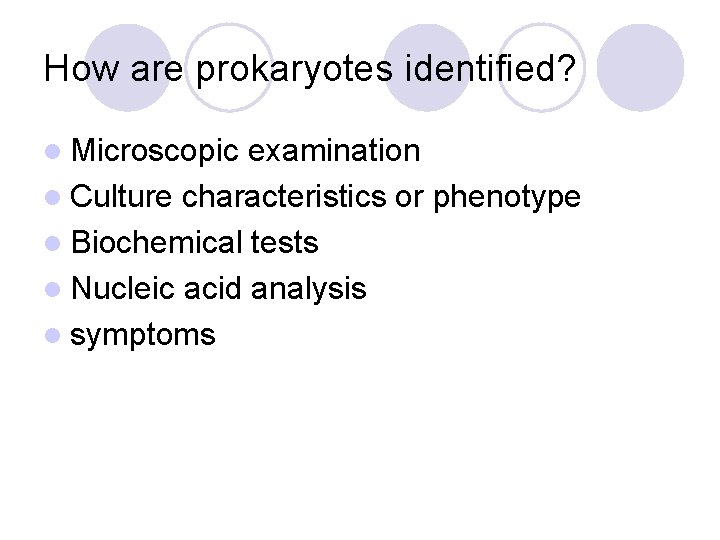 How are prokaryotes identified? l Microscopic examination l Culture characteristics or phenotype l Biochemical