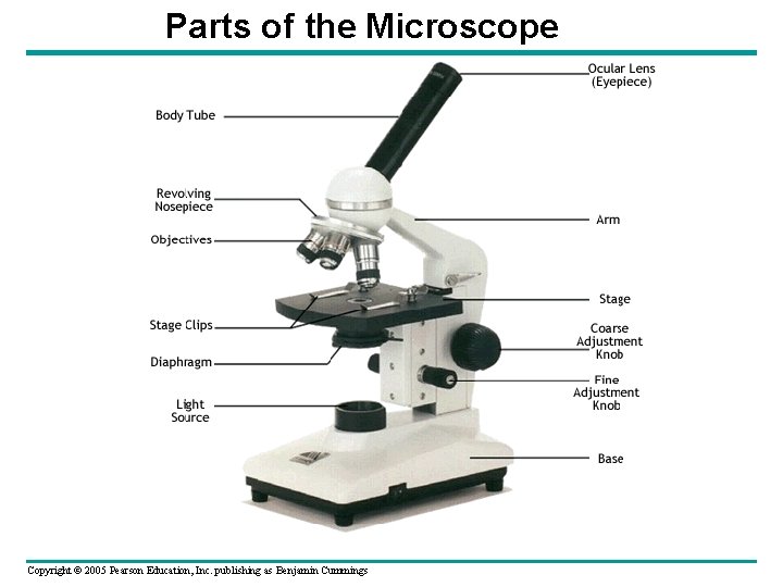 Parts of the Microscope Copyright © 2005 Pearson Education, Inc. publishing as Benjamin Cummings