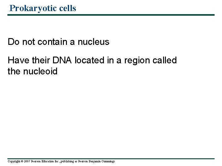 Prokaryotic cells Do not contain a nucleus Have their DNA located in a region
