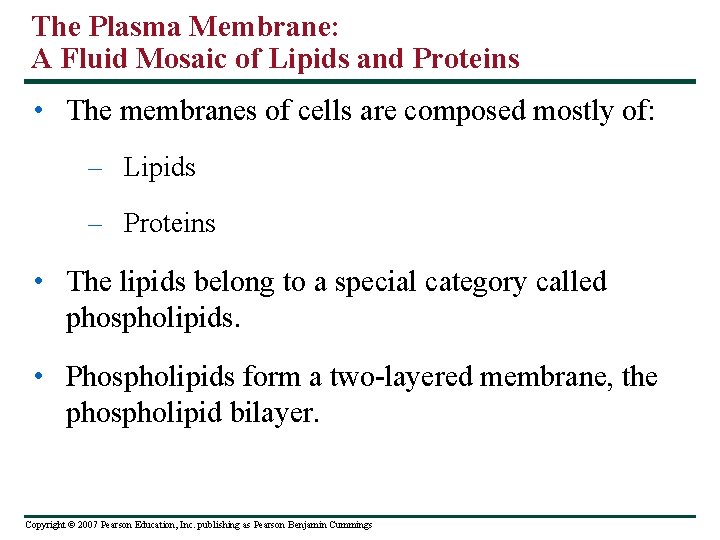 The Plasma Membrane: A Fluid Mosaic of Lipids and Proteins • The membranes of