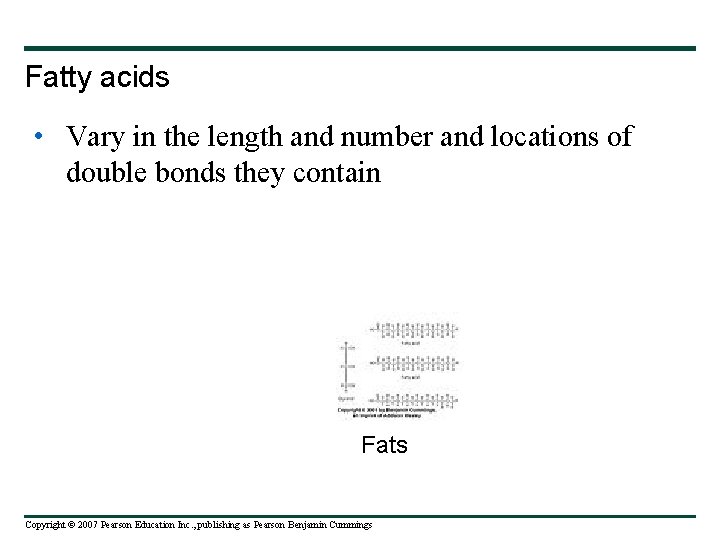 Fatty acids • Vary in the length and number and locations of double bonds