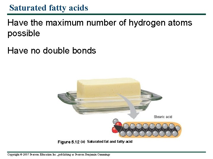 Saturated fatty acids Have the maximum number of hydrogen atoms possible Have no double