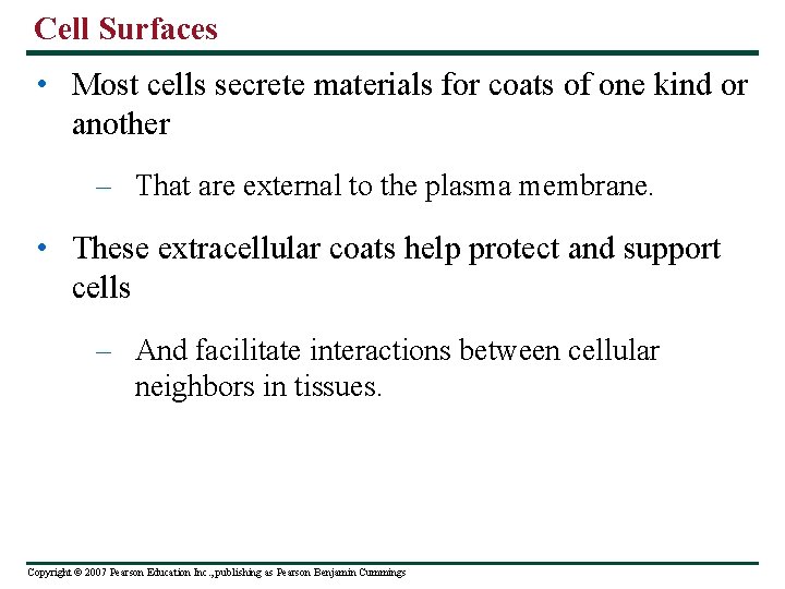 Cell Surfaces • Most cells secrete materials for coats of one kind or another