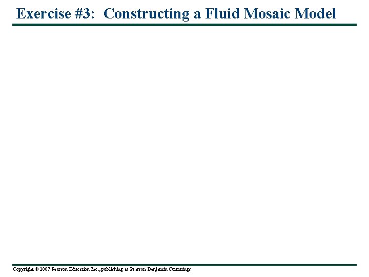 Exercise #3: Constructing a Fluid Mosaic Model Copyright © 2007 Pearson Education Inc. ,