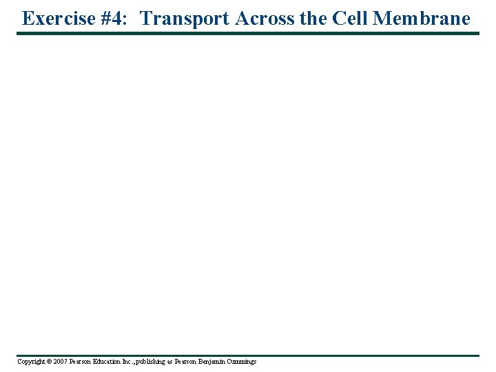 Exercise #4: Transport Across the Cell Membrane Copyright © 2007 Pearson Education Inc. ,