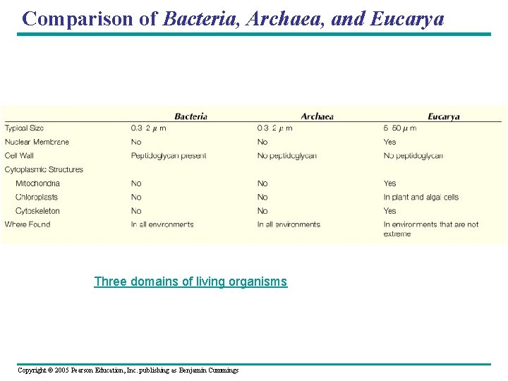Comparison of Bacteria, Archaea, and Eucarya Three domains of living organisms Copyright © 2005
