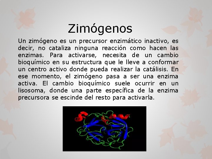 Zimógenos Un zimógeno es un precursor enzimático inactivo, es decir, no cataliza ninguna reacción