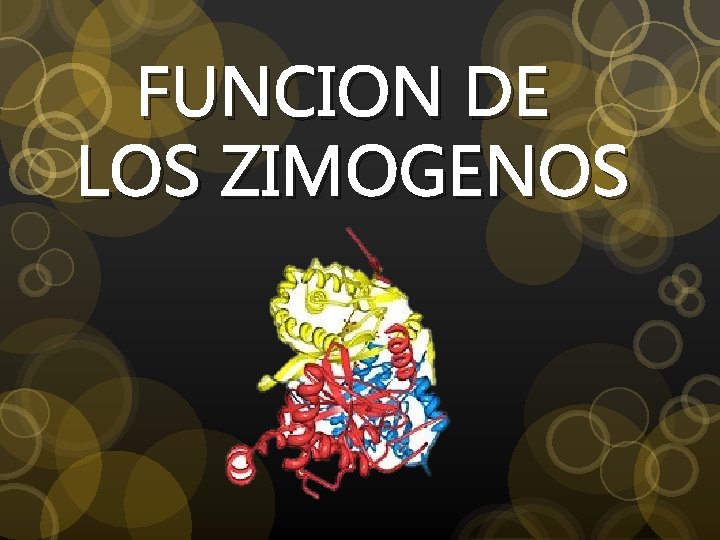 FUNCION DE LOS ZIMOGENOS 