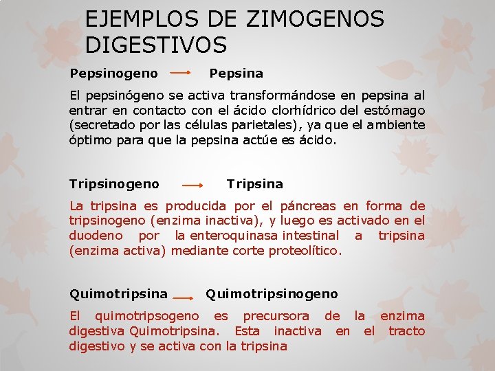 EJEMPLOS DE ZIMOGENOS DIGESTIVOS Pepsinogeno Pepsina El pepsinógeno se activa transformándose en pepsina al