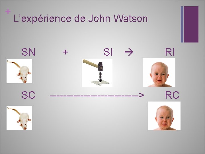 + L’expérience de John Watson SN SC + SI -------------> RI RC 