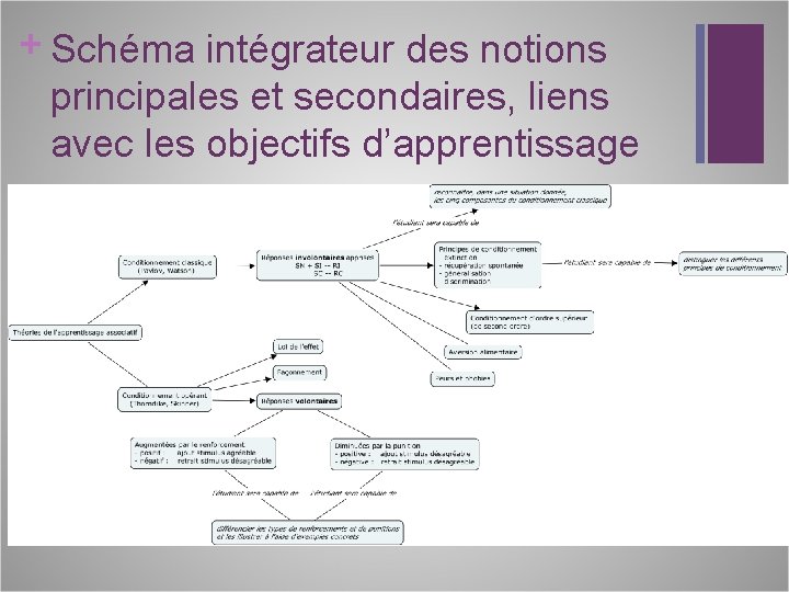 + Schéma intégrateur des notions principales et secondaires, liens avec les objectifs d’apprentissage 