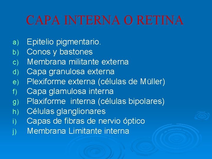CAPA INTERNA O RETINA a) b) c) d) e) f) g) h) i) j) CAPA INTERNA O RETINA a) b) c) d) e) f) g) h) i) j)