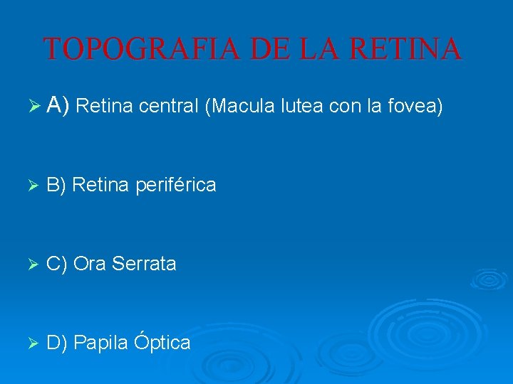 TOPOGRAFIA DE LA RETINA Ø A) Retina central (Macula lutea con la fovea) Ø TOPOGRAFIA DE LA RETINA Ø A) Retina central (Macula lutea con la fovea) Ø
