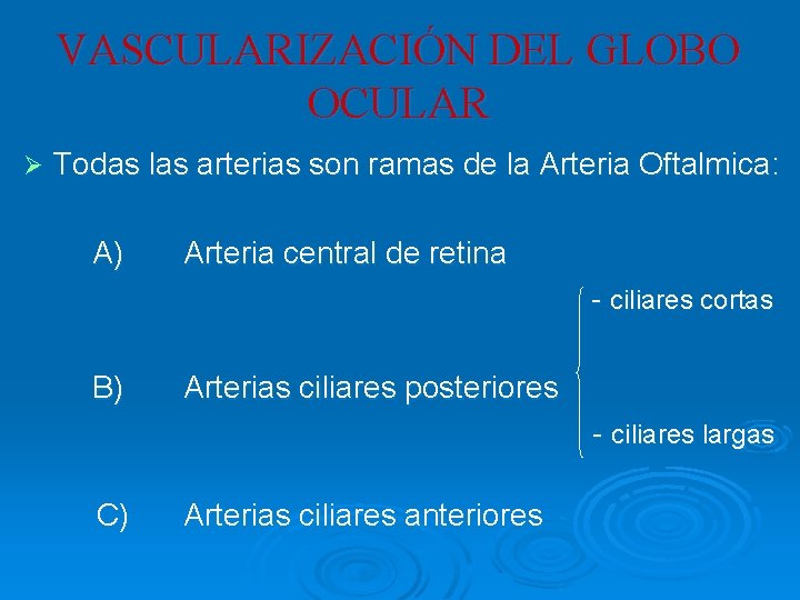 VASCULARIZACIÓN DEL GLOBO OCULAR Ø Todas las arterias son ramas de la Arteria Oftalmica: