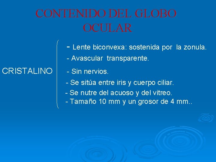 CONTENIDO DEL GLOBO OCULAR - Lente biconvexa: sostenida por la zonula. - Avascular transparente.