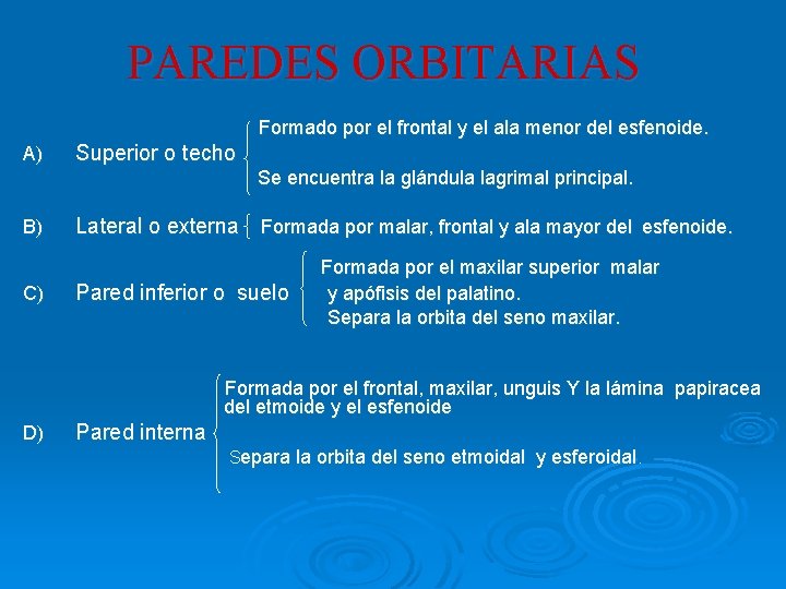 PAREDES ORBITARIAS Formado por el frontal y el ala menor del esfenoide. A) Superior