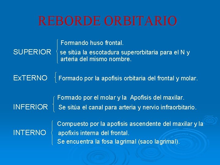 REBORDE ORBITARIO Formando huso frontal. SUPERIOR se sitúa la escotadura superorbitaria para el N