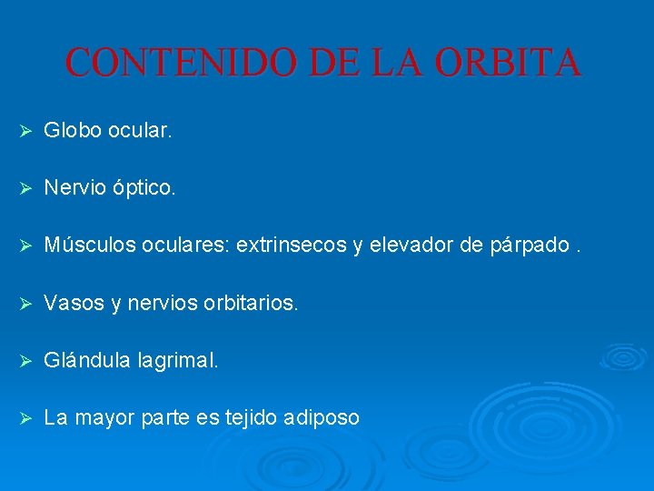 CONTENIDO DE LA ORBITA Ø Globo ocular. Ø Nervio óptico. Ø Músculos oculares: extrinsecos CONTENIDO DE LA ORBITA Ø Globo ocular. Ø Nervio óptico. Ø Músculos oculares: extrinsecos