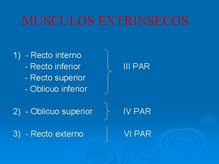 MUSCULOS EXTRINSECOS 1) - Recto interno - Recto inferior - Recto superior - Oblicuo MUSCULOS EXTRINSECOS 1) - Recto interno - Recto inferior - Recto superior - Oblicuo