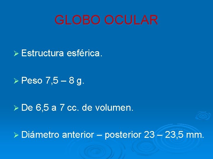 GLOBO OCULAR Ø Estructura esférica. Ø Peso 7, 5 – 8 g. Ø De GLOBO OCULAR Ø Estructura esférica. Ø Peso 7, 5 – 8 g. Ø De