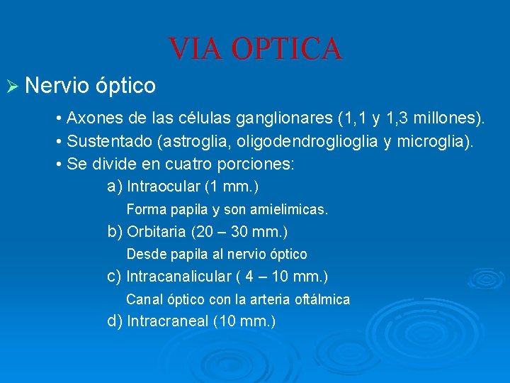 VIA OPTICA Ø Nervio óptico • Axones de las células ganglionares (1, 1 y VIA OPTICA Ø Nervio óptico • Axones de las células ganglionares (1, 1 y