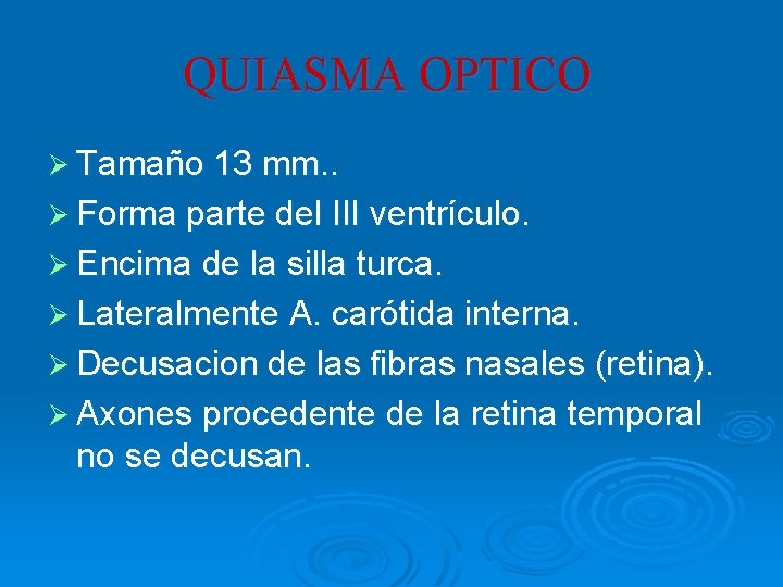 QUIASMA OPTICO Ø Tamaño 13 mm. . Ø Forma parte del III ventrículo. Ø