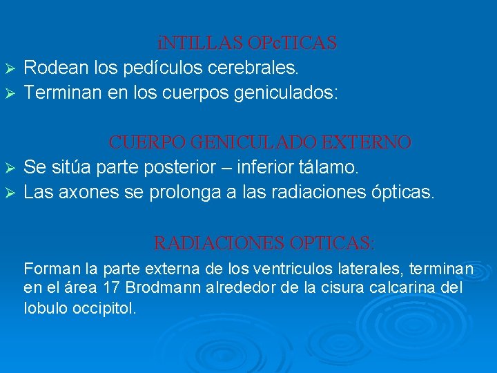 Ø Ø i. NTILLAS OPc. TICAS Rodean los pedículos cerebrales. Terminan en los cuerpos