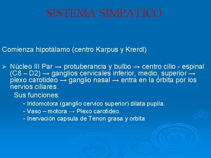 SISTEMA SIMPATICO Comienza hipotálamo (centro Karpus y Krerdl) Ø Núcleo III Par → protuberancia SISTEMA SIMPATICO Comienza hipotálamo (centro Karpus y Krerdl) Ø Núcleo III Par → protuberancia