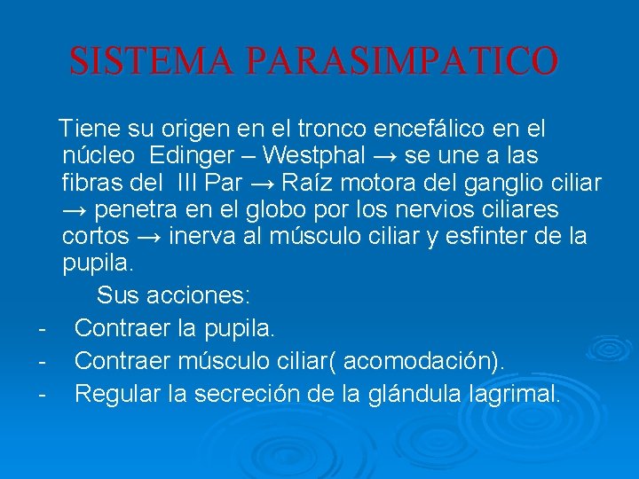 SISTEMA PARASIMPATICO - Tiene su origen en el tronco encefálico en el núcleo Edinger SISTEMA PARASIMPATICO - Tiene su origen en el tronco encefálico en el núcleo Edinger