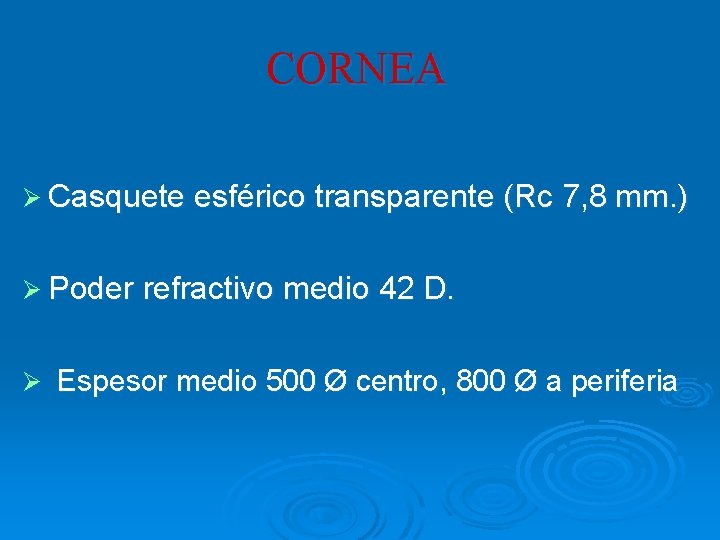 CORNEA Ø Casquete esférico transparente (Rc 7, 8 mm. ) Ø Poder refractivo medio