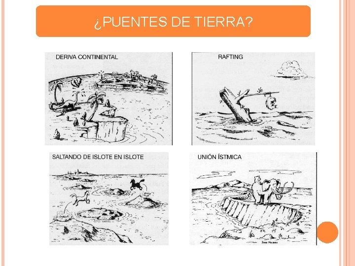 ¿PUENTES DE TIERRA? 