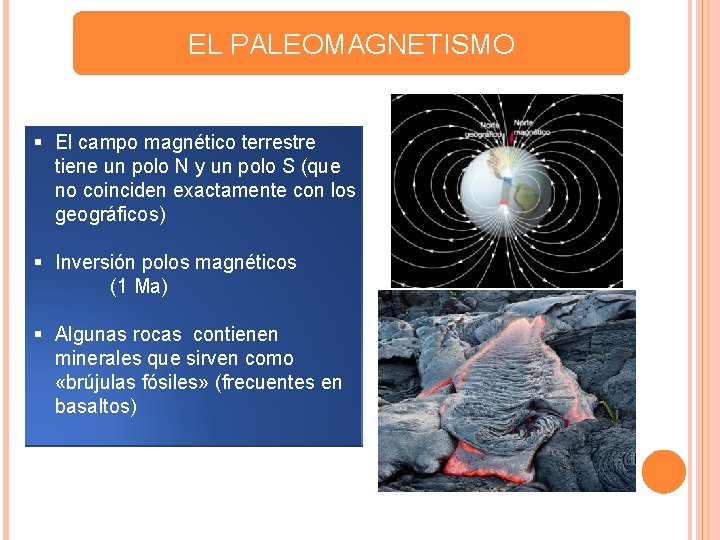 EL PALEOMAGNETISMO § El campo magnético terrestre tiene un polo N y un polo