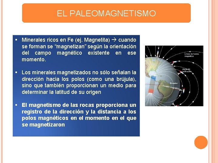 EL PALEOMAGNETISMO § Minerales ricos en Fe (ej. Magnetita) cuando se forman se “magnetizan”