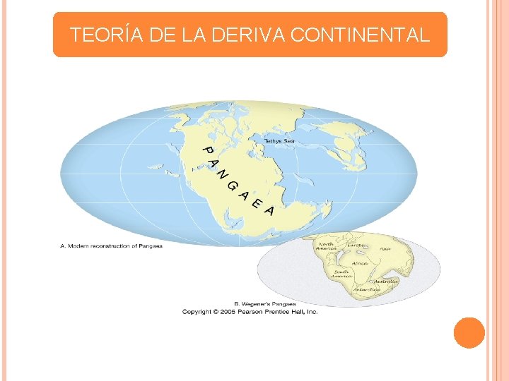 TEORÍA DE LA DERIVA CONTINENTAL TEORÍA DE LA DERIVA CONTINENTAL