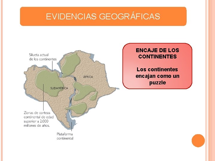 EVIDENCIAS GEOGRÁFICAS ENCAJE DE LOS CONTINENTES Los continentes encajan como un puzzle EVIDENCIAS GEOGRÁFICAS ENCAJE DE LOS CONTINENTES Los continentes encajan como un puzzle