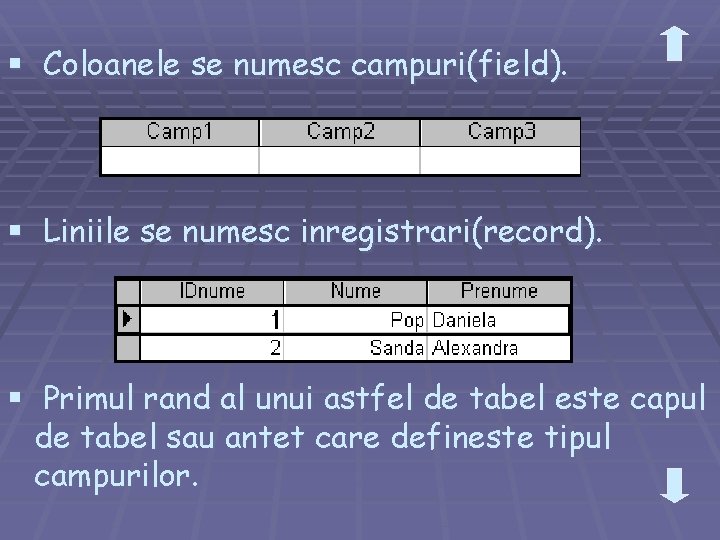 § Coloanele se numesc campuri(field). § Liniile se numesc inregistrari(record). § Primul rand al