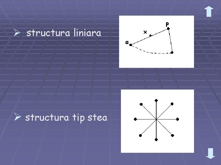 Ø structura liniara Ø structura tip stea 