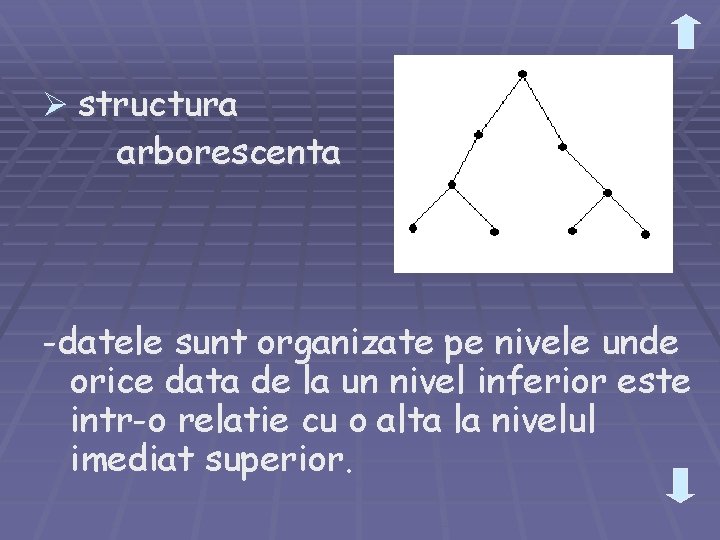 Ø structura arborescenta -datele sunt organizate pe nivele unde orice data de la un