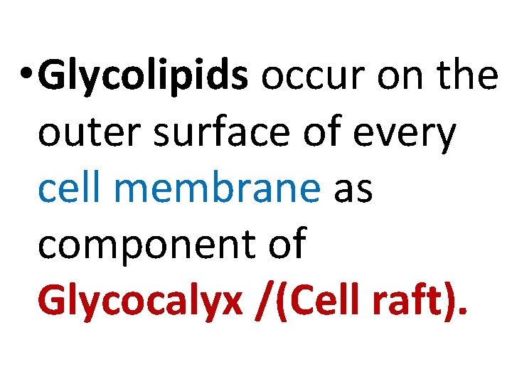  • Glycolipids occur on the outer surface of every cell membrane as component