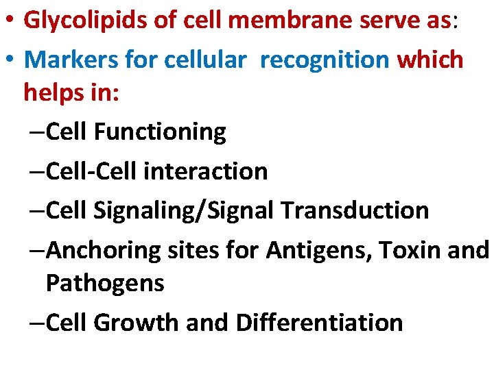  • Glycolipids of cell membrane serve as: • Markers for cellular recognition which