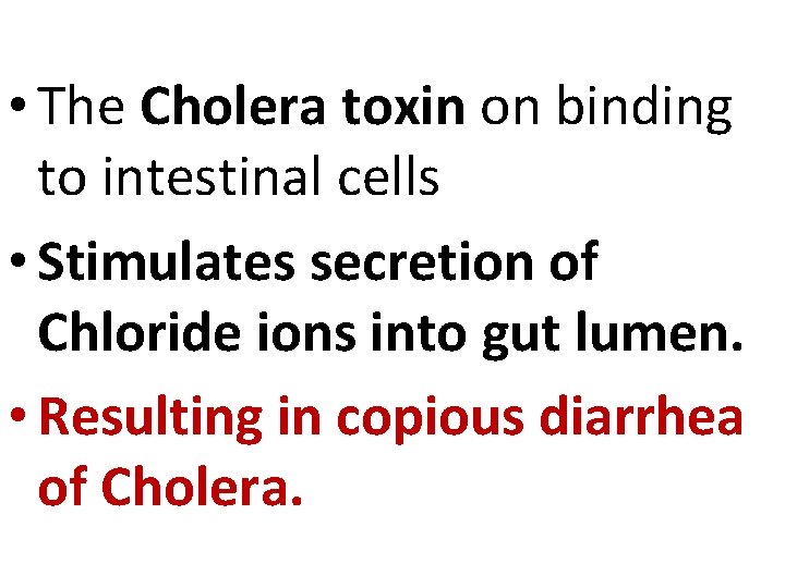  • The Cholera toxin on binding to intestinal cells • Stimulates secretion of