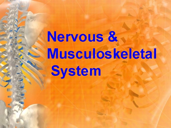 Nervous & Musculoskeletal System 